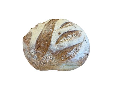 Small Tuscan Round Bread - Fi